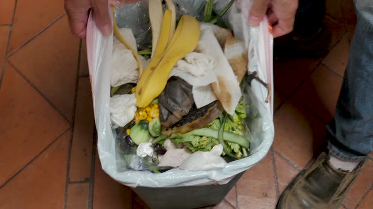 Best Basement Cleanout  in Myrtle Beach, SC